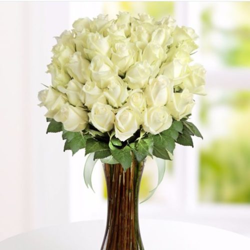Rosas blancas 41