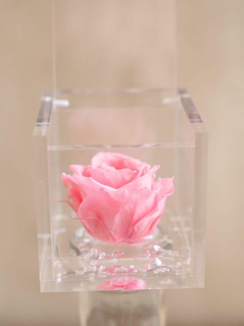 Flowercube rosa 6x6 y 8x8